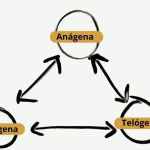 Ciclo de Crescimento do Cabelo: Entenda as 3 Fases Essenciais e Como Influenciam Seus Fios