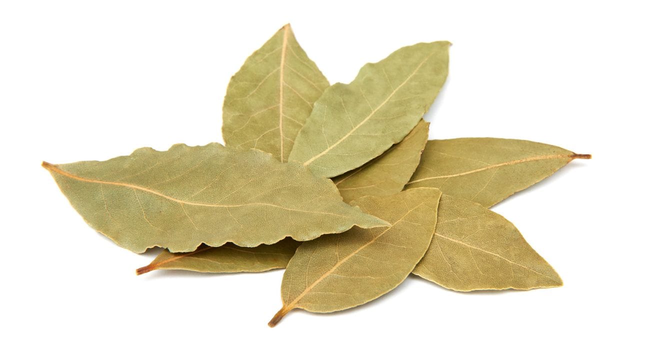 Chá de Louro Emagrece?