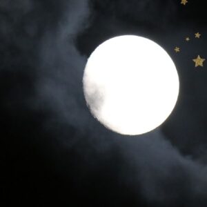 Cortar Cabelo na Lua: Guia Completo Das 4 Fases e Seus Efeitos